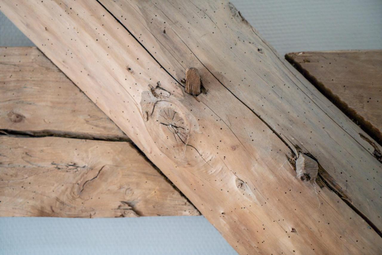 Hoeve De Bongerd Beesel Zewnętrze zdjęcie